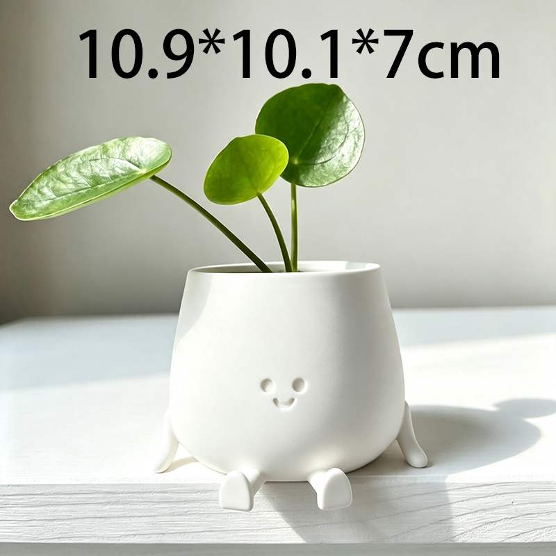 وعاء نباتات بتصميم وجه مبتسم ث - مراجعة Echeveria Succulent وسعره