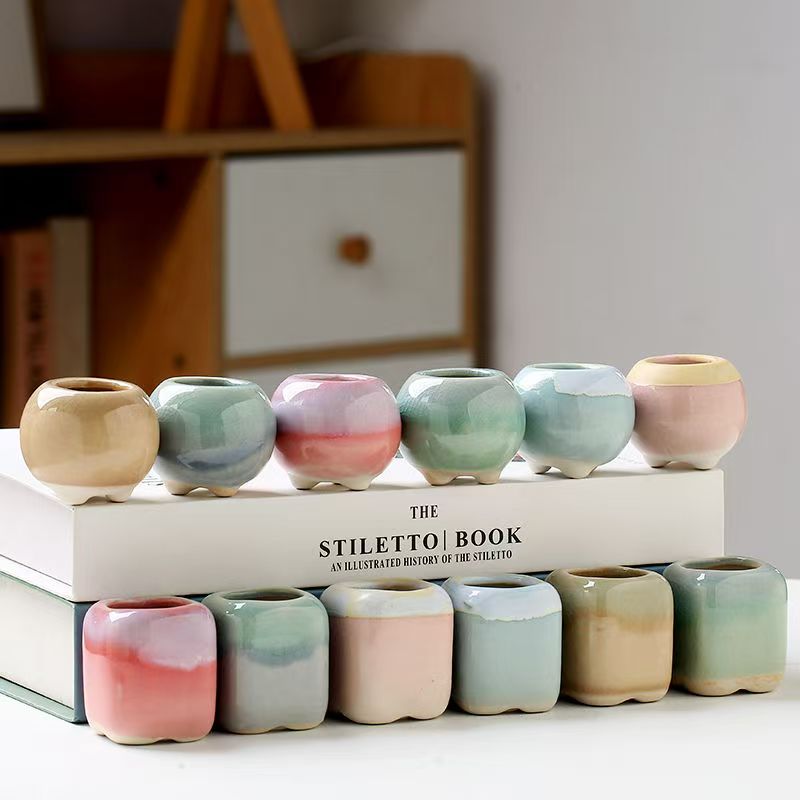 6 قطعة الزهرية الصغيرة العصارة - مراجعة Echeveria Succulent وسعره